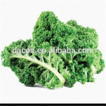 kale extract powder